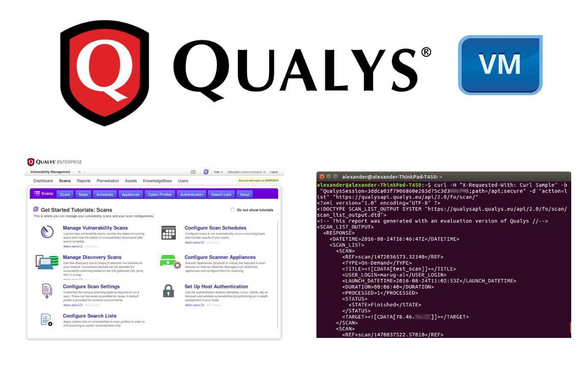 Qualys VM GUI and API