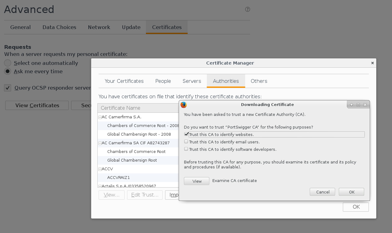 Burp add certificate