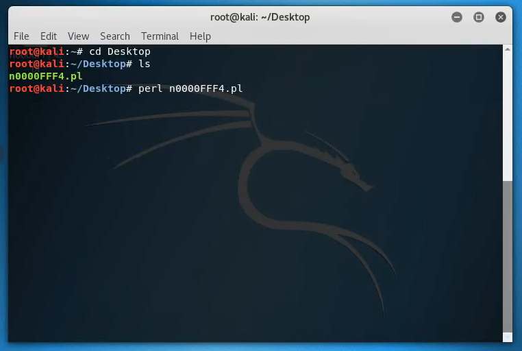 Kali Linux n0000FFF4 perl script launched